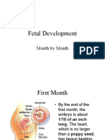 Monthwise Fetal Development Dr. SDW