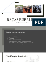 Raças Bubalinas