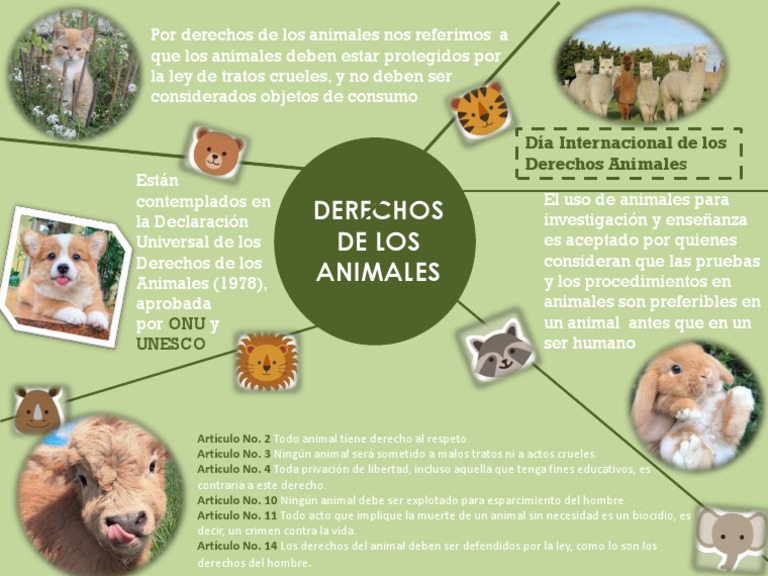Derechos De Los Animales Por Ibfam