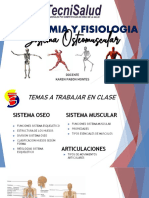 Presentacion Sist Osteomuscular