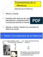 Clase 5° - Teoria Cromosomica de La Herencia Mitosis y Meiosis