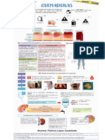 Infografia