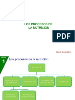 Tema 3 - 2do - Nutrición Celular