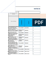 Matriz de Riesgos