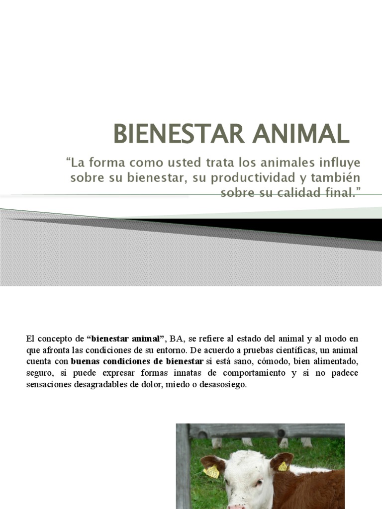 Bienestar Animal | PDF | Bienestar de los animales | Comportamiento
