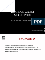 Semana 6 Bacilos Gram Negativos