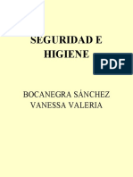 Seguridad E Higiene: Bocanegra Sánchez Vanessa Valeria