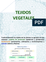 Fisiologia Vegetel - Tejidos Vegetales