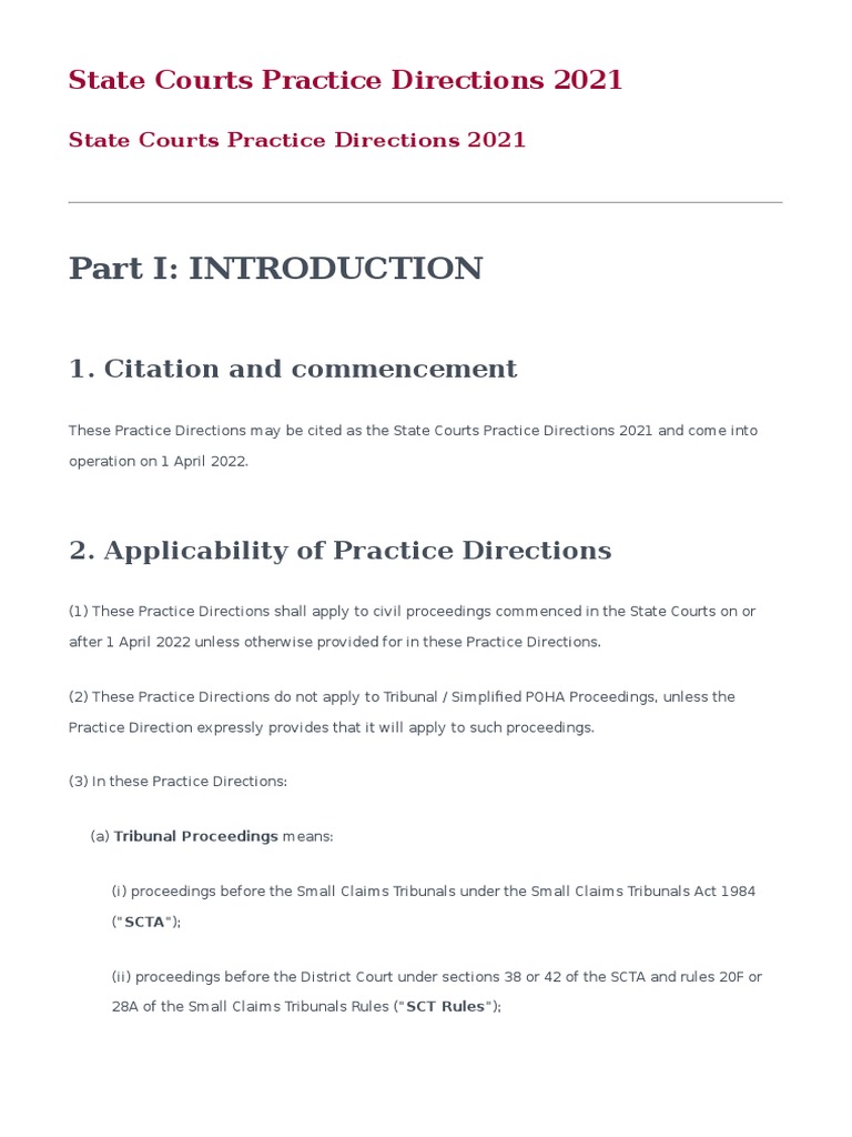 State Courts Practice Directions 2021 PDF Identity Document