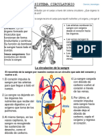 Fichas de Actividad 02 - 05 - 2023