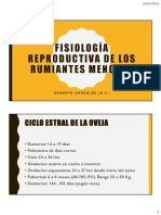 Fisiología Reproductiva Rumiantes Menores