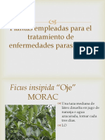 Clase Plantas Medicinales Diagnostico Jac
