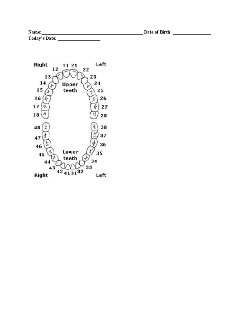 MOUTH EXAM CHART PDF