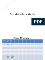 Cazurile Substantivului