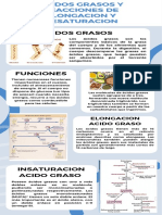 2.6.1 Acidos Grasos