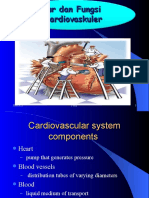 Sistem Dan Fungsi Kardiovaskuler