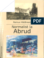 Remus Hadarean - Normalist La Abrud
