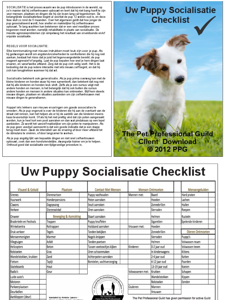 Puppy Socialization Check List Dutch | PDF