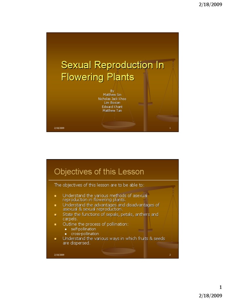 Sexual Reproduction in Flowering Plants | PDF | Flowers | Pollination