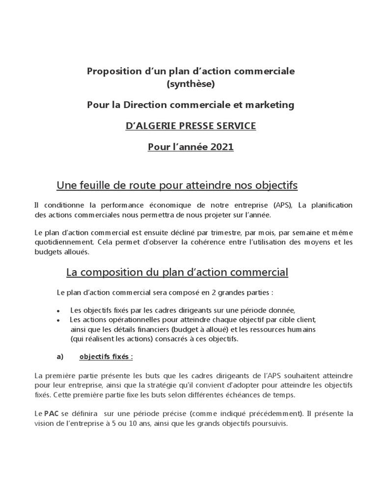 Plan d'Action Commercial 2021 APS | PDF | Commercialisation | Business