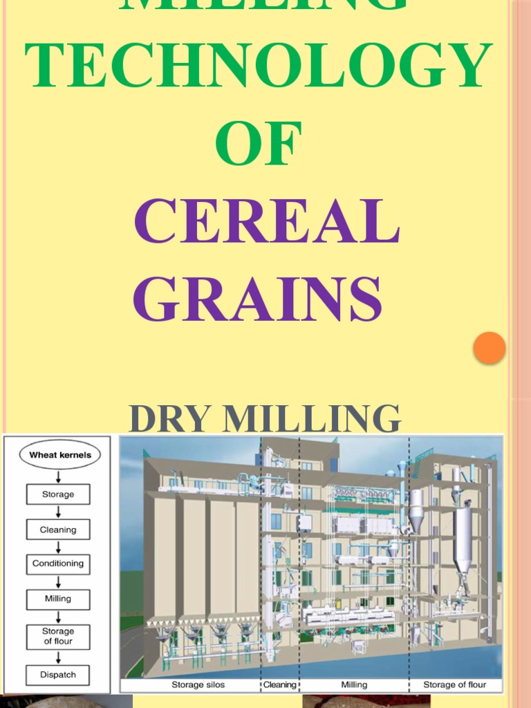 Grain Milling and Quality Test | PDF