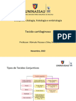 Aula 12 - Tecido Cartilaginoso 16 11 2022