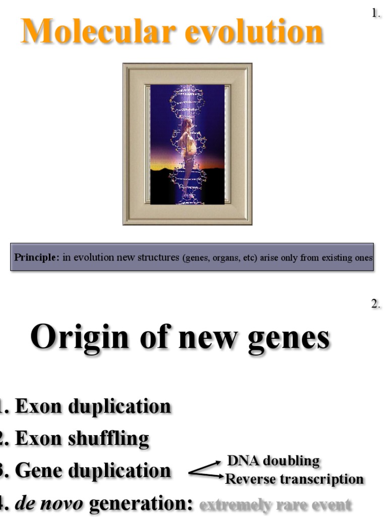 Molecular Evolution PDF Gene Microsatellite