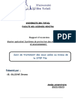 rapport pollution pdf
