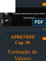 Módulo APRENDIZ - Cap 06 - Formação de Valores