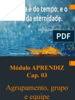 Módulo APRENDIZ - Cap 03 - Agrupamento, Grupo e Equipe