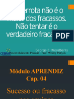 Módulo APRENDIZ - Cap 04 - Sucesso Ou Fracasso Nas Equipes