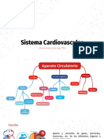 Sistema Cardiovascular