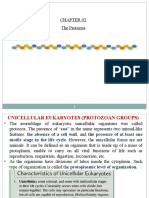 Phylum Protozoa 02