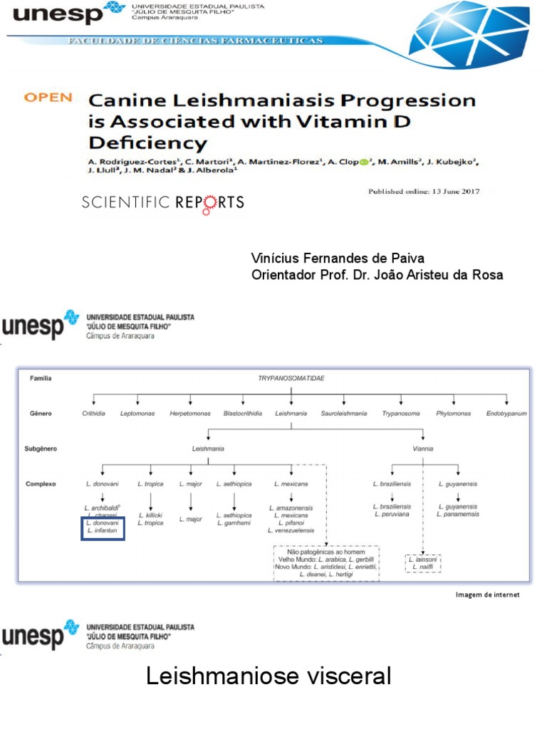 Canine Leishmaniasis Progression Is Associated With Vitamin D