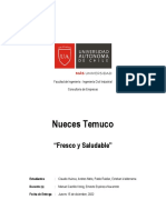 Consultoría de Empresas - Nueces Temuco