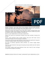 Dampak Kebakaran Hutan Terhadap Sistem Pernapasan