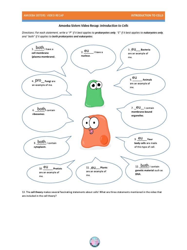 Amoeba Sisters: Cell Introduction Recap | PDF | Cell (Biology) | Eukaryotes