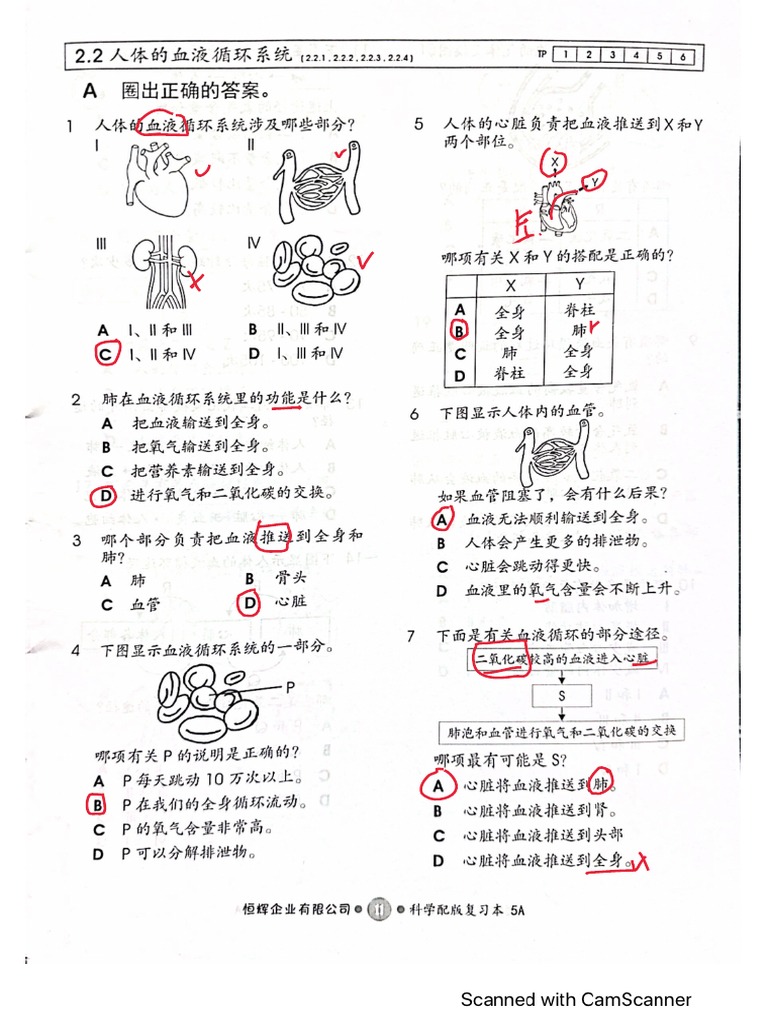 图片素材: 黑与白, 单独, 男, 腿, 悲伤, 年轻, 手指, 坐, 火, 幽思, 黑暗, 蓝色, 黑色, 臂, 头骨, 地球, 世界, 口,  特写, 人体, 伤心, 面对, 眼睛, 内, 科学, 神秘, 冥想, 孤独, 心理学, 概述,, image size:768x1024