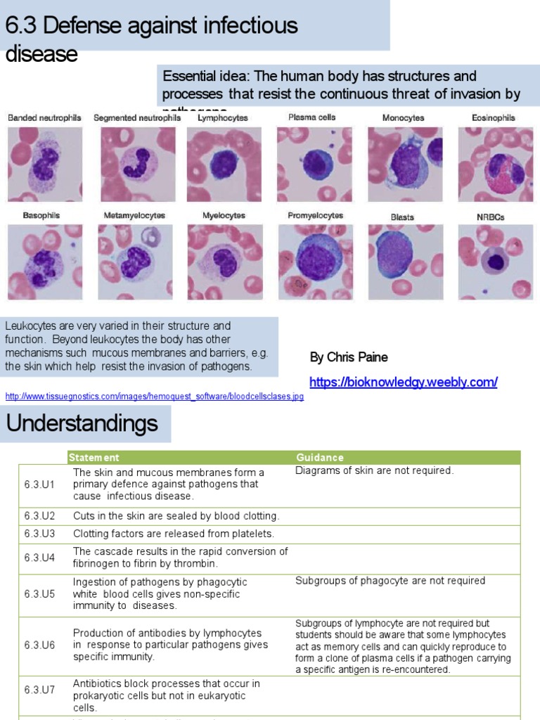 Human Body's Defense Against Pathogens | PDF