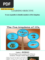 3 - Five Kingdoms