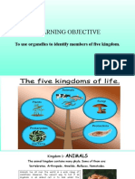 3 - Five Kingdoms