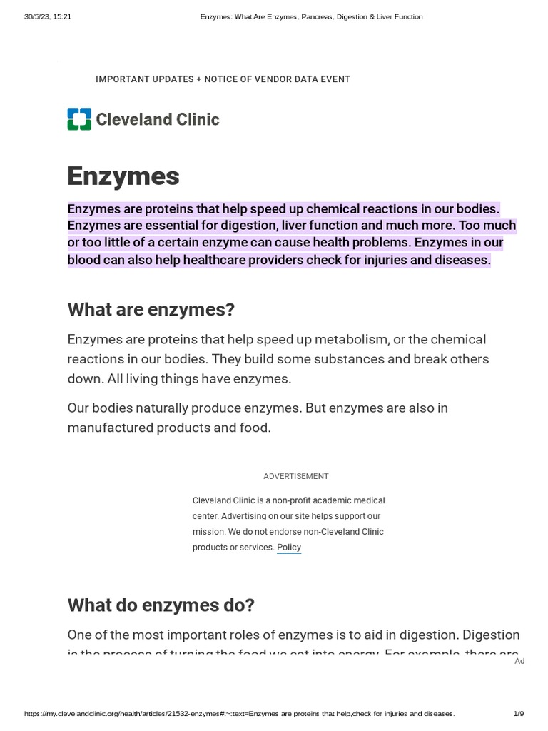 Enzymes What Are Enzymes, Pancreas, Digestion & Liver Function PDF