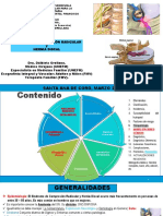 2 Hernia Discal y Compres en PDF Orellana