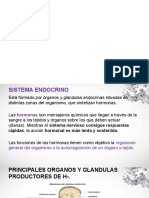 1.SISTEMA ENDOCRINO