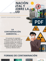 Contaminacin Ambiental