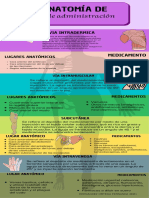 Infografía Anatomía Cuerpo Humano Cromático Informativo Lúdico Multicolor