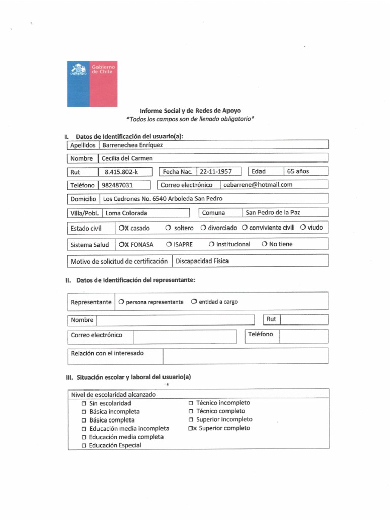 Informe Social y de Redes de Apoyo | PDF