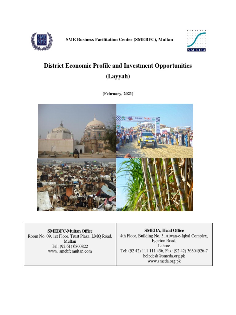 Layyah District Economic Overview | PDF | Agriculture | Food Industry