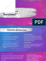 2489-Feminismo o Feminismos