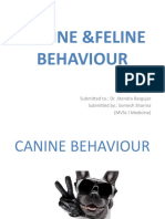Canine & Feline Behaviour